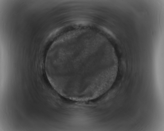 X0000085320918200703302041