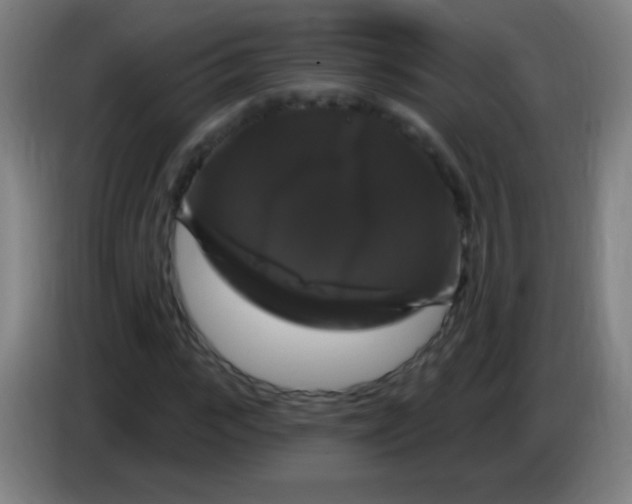 X0000085320919200703302041