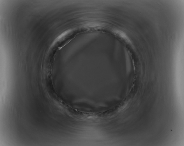 X0000085320920200703302041