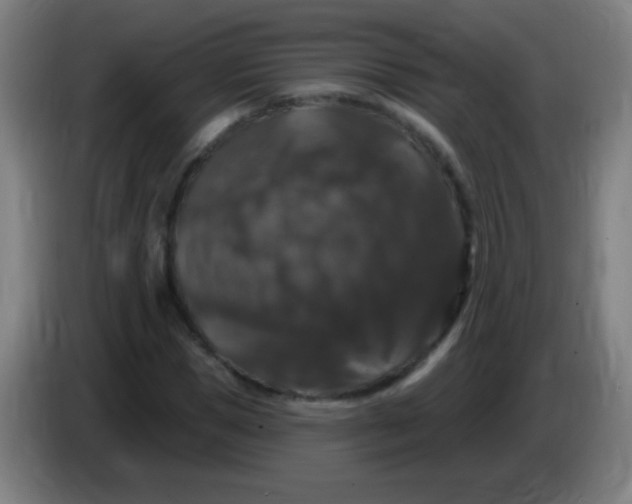 X0000085320921200703302041