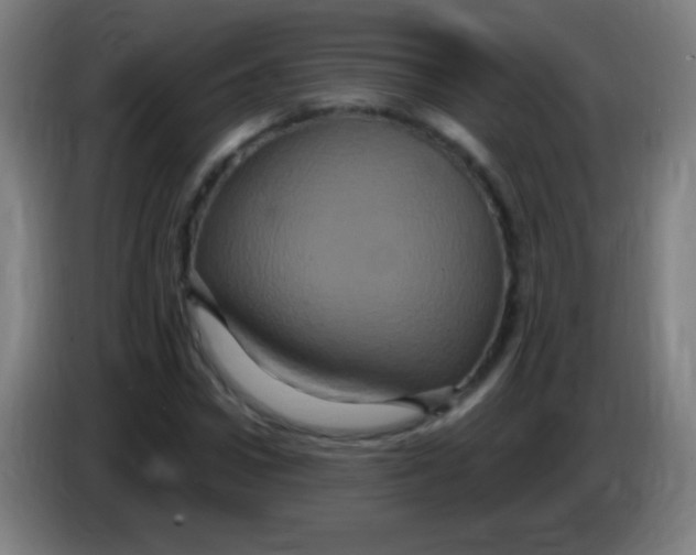 X0000085320922200703302041