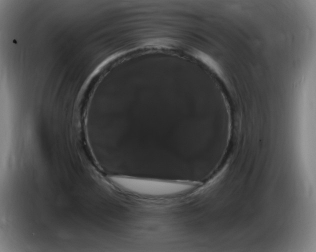 X0000085320923200703302041