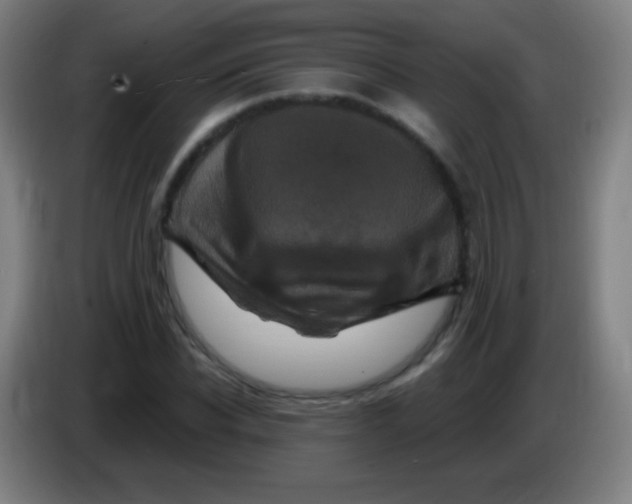 X0000085320926200703302041