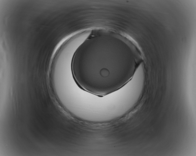 X0000085320928200703302041