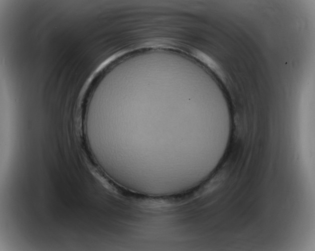 X0000085320931200703302041