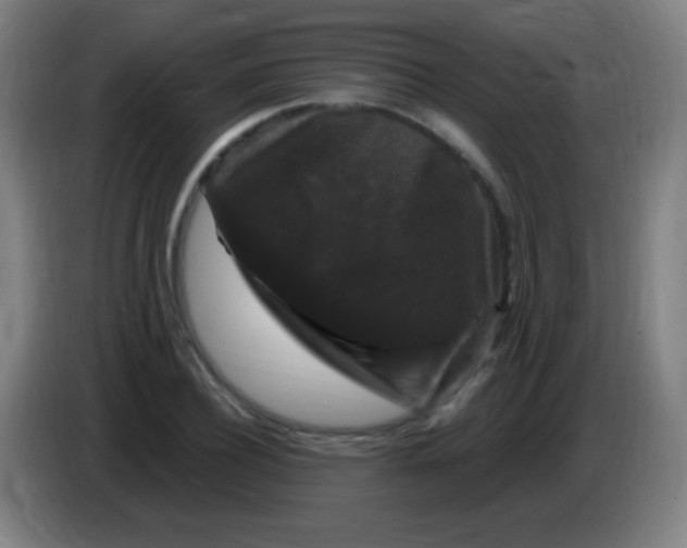 X0000085320932200703302041