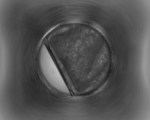 X0000085320933200703302041