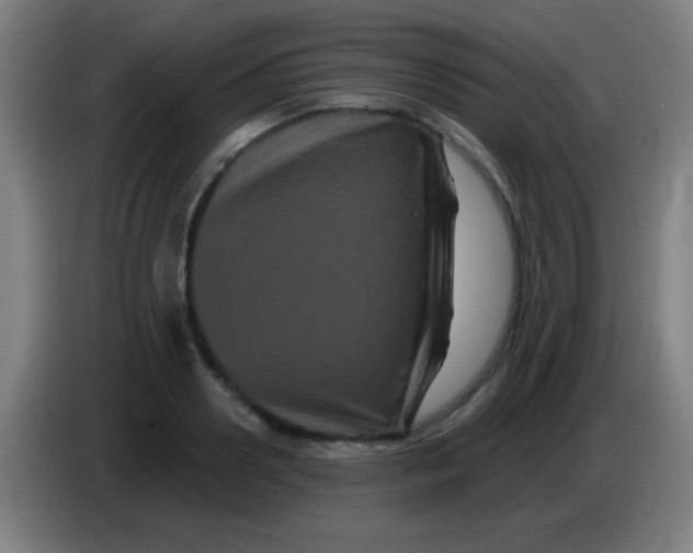 X0000085320938200703302041