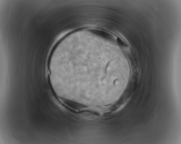 X0000085320940200703302041