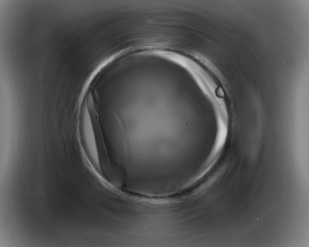 X0000085320941200703302041