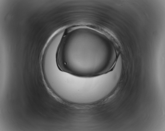 X0000085320942200703302041