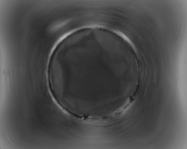 X0000085320943200703302041