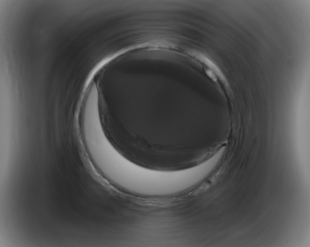 X0000085320944200703302041