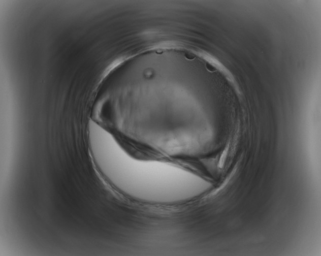 X0000085320945200703302041