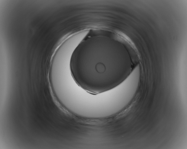 X0000085320946200703302041