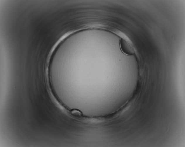 X0000085320947200703302041