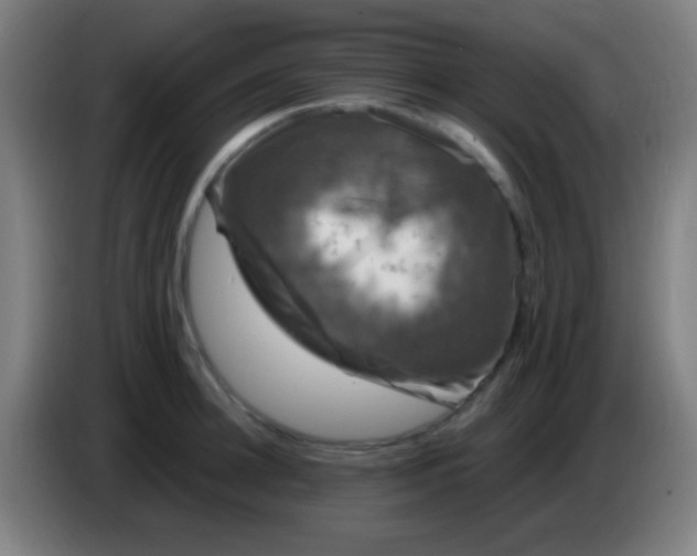 X0000085320948200703302041