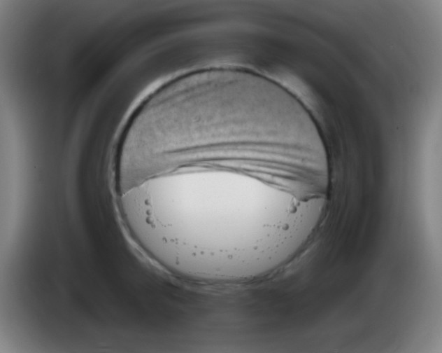 X0000085320950200703302041