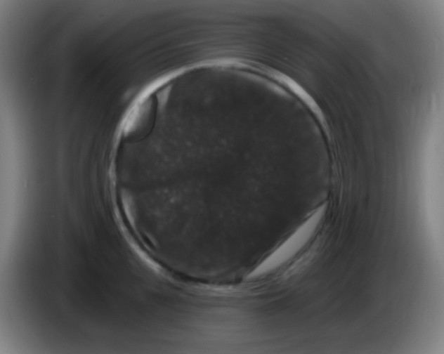 X0000085320951200703302041