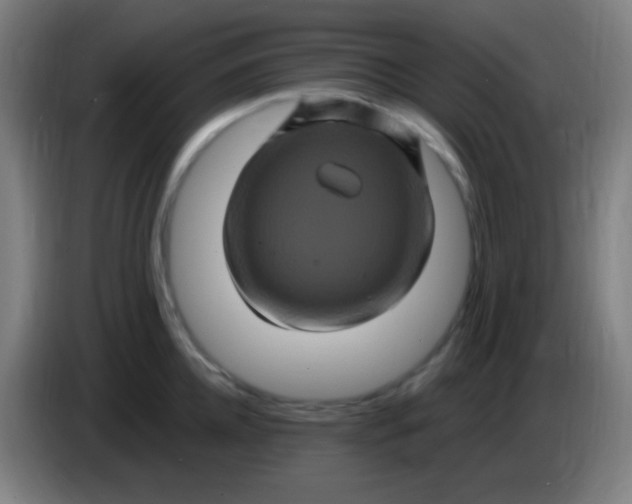 X0000085320952200703302042