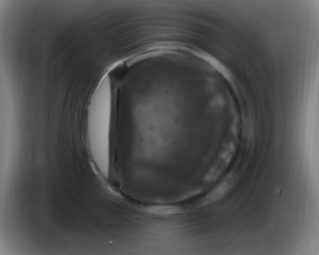 X0000085320953200703302042