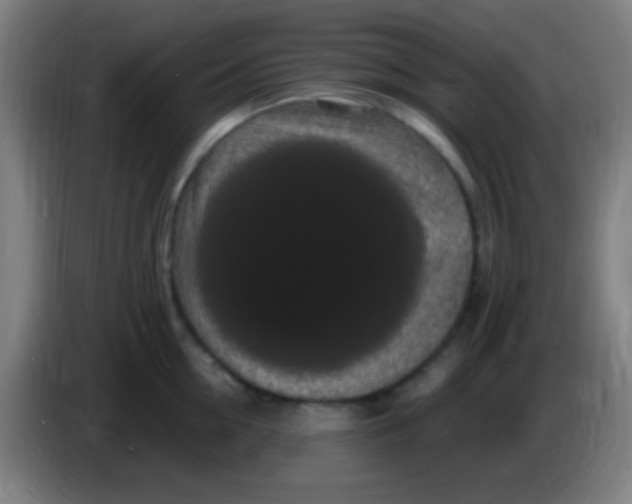 X0000085320954200703302042