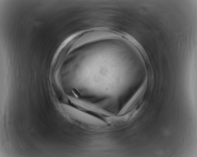 X0000085320956200703302042