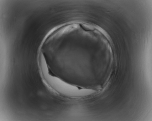 X0000085320958200703302042