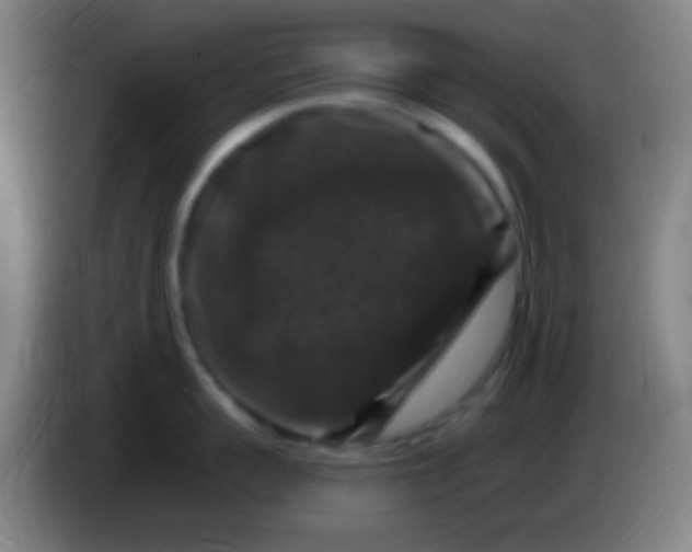 X0000085320959200703302042