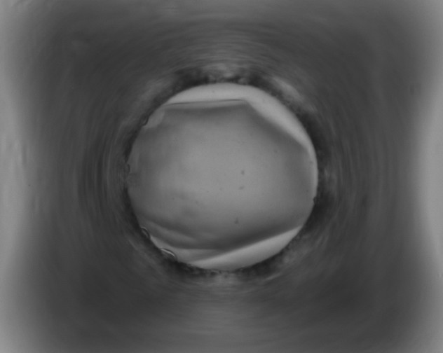 X0000085320961200703302041