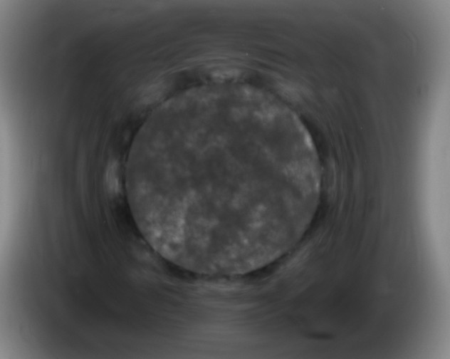 X0000085320962200703302041