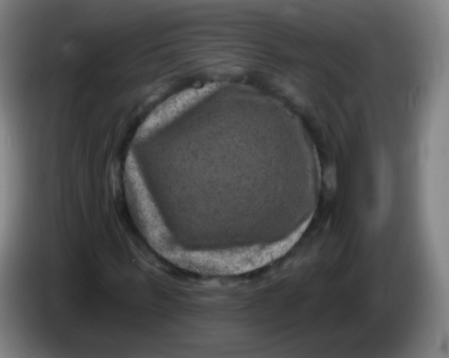 X0000085320963200703302041