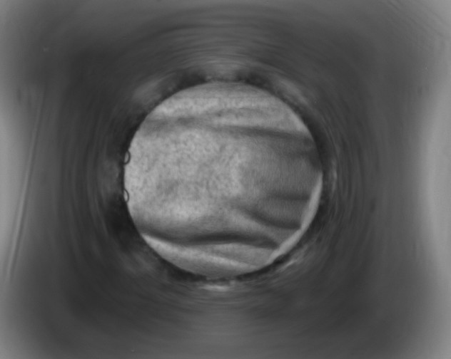 X0000085320964200703302041