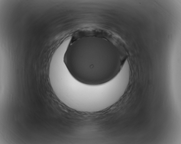 X0000085320965200703302041