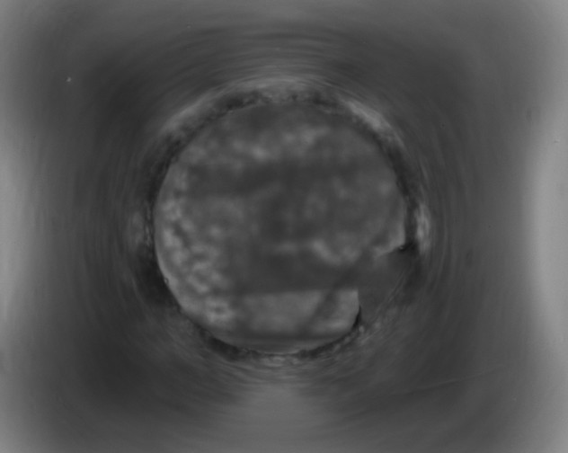 X0000085320966200703302041