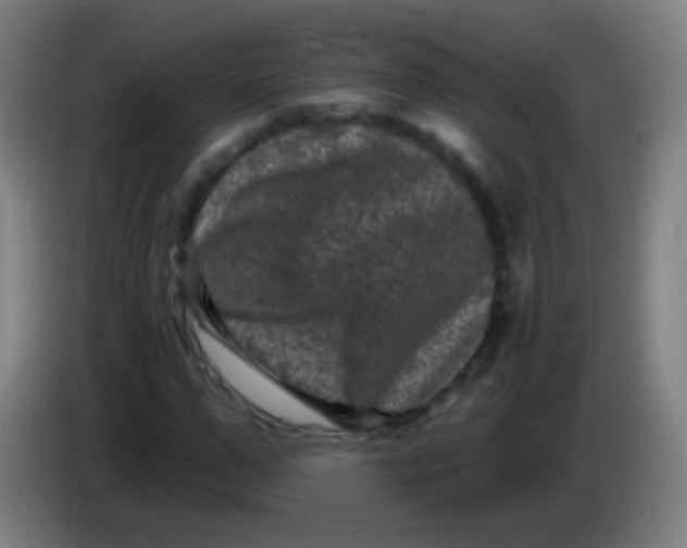 X0000085320967200703302041