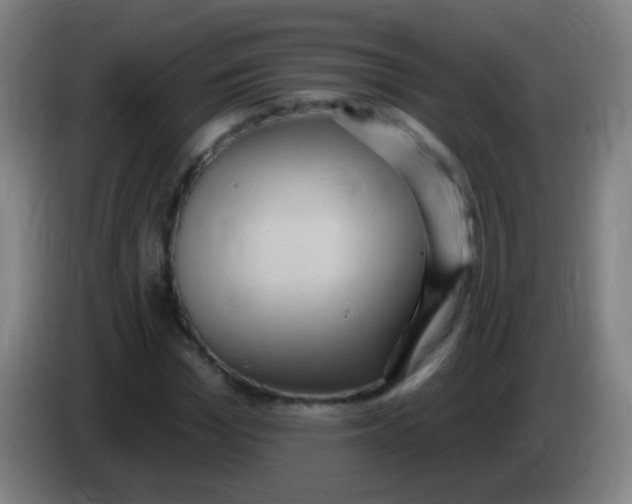 X0000085320969200703302041