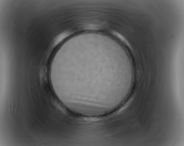 X0000085320970200703302041