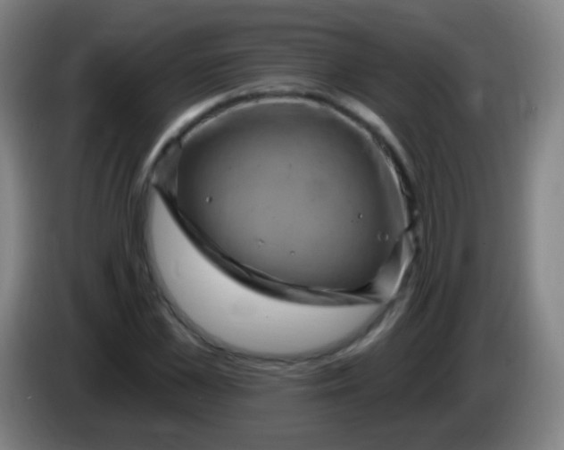 X0000085320973200703302041