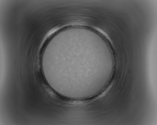 X0000085320974200703302041