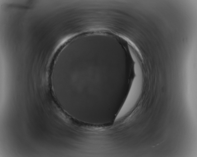 X0000085320975200703302041