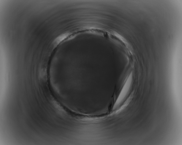 X0000085320977200703302041