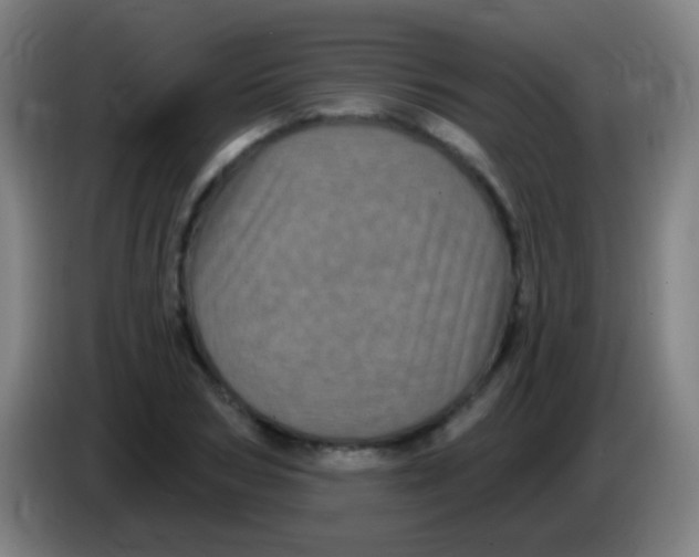 X0000085320978200703302041