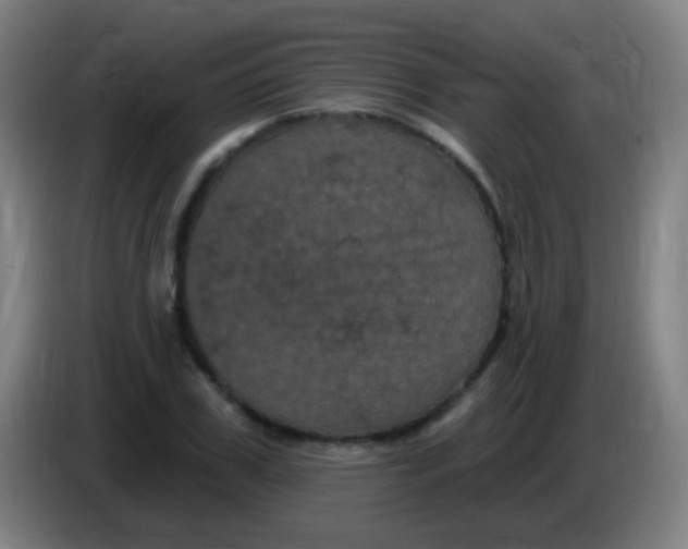 X0000085320979200703302041