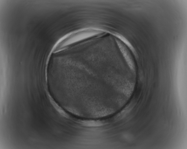 X0000085320980200703302041