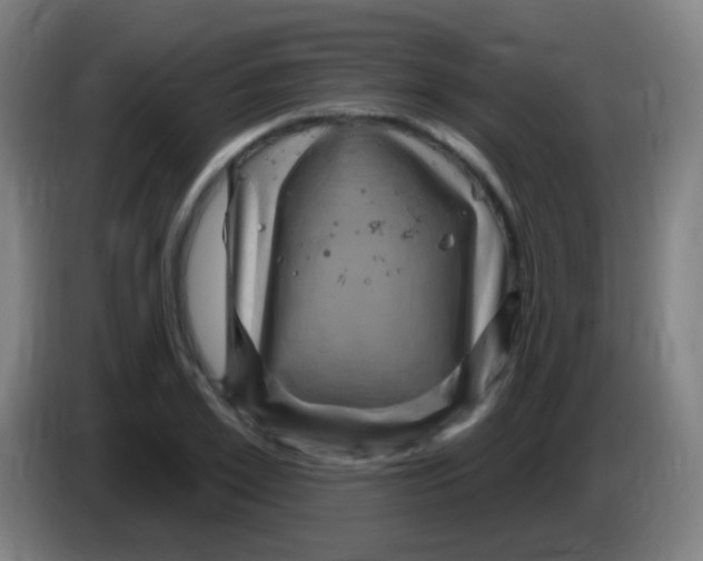 X0000085320981200703302041