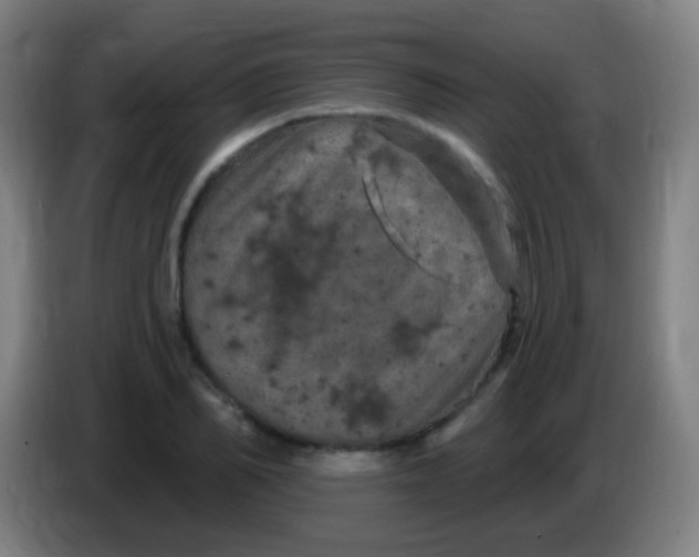 X0000085320982200703302041