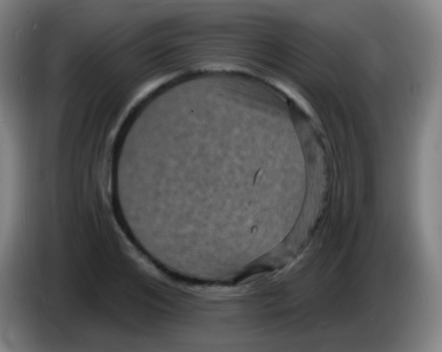 X0000085320984200703302041