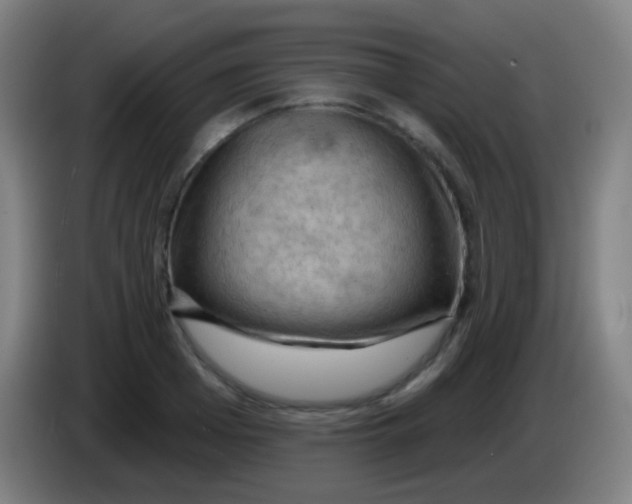 X0000085320985200703302041