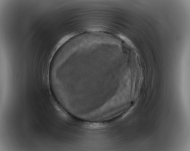 X0000085320986200703302040